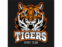 Vinica Tigers