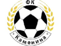 ФК Каменина