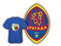 Бригада В