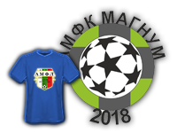 АМФК Магнум